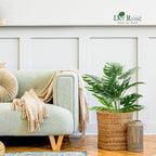 Der Rose 2Packs 28'' Fake Plants Tall Artificial Monstera Faux Plants Indoor for Living Room Home House Decor