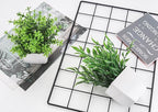 Der Rose 2 Pack Fake Plants Mini Artificial Greenery Potted Plants for Home Decor Indoor Office Table Room Farmhouse
