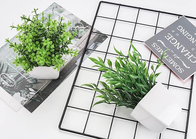 Der Rose 2 Pack Fake Plants Mini Artificial Greenery Potted Plants for Home Decor Indoor Office Table Room Farmhouse