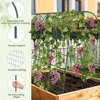 Cucumber Trellis, Metal Garden Arch Trellis for Raised Bed, 63 x 48inch U-Shape Garden Trellis for Climbing Plants Outdoor, Vegetables Fruit Plant Support with Netting, Gardening Supplies (Green)
