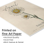 April Birth Flower Art Print - 11x14 (Unframed) | Capturing the Splendor of the April Birth Flower | Decor Accent for Birthdays and Special Occasions | Living Room Décor | Modern Home Décor