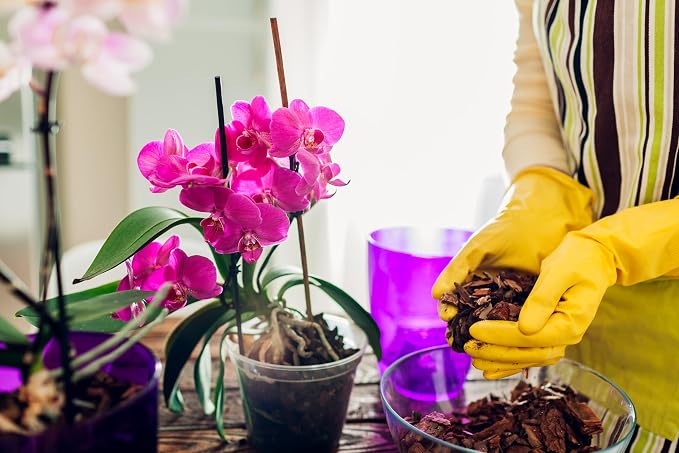 Sun Bulb 5011 Better-Gro Phalaenopsis Mix, 8 Quarts (Pack of 9)