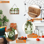 Plant Terrarium Propagation Stations Hydroponics Halloween Skull Planter Vase Skulls Decor with Wooden Stand Gift for Father