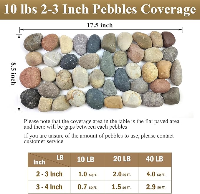 FANTIAN 20 lbs Natural River Rocks Mexican Beach Pebbles, 2-3 Inch Decorative River Rocks for Landscaping Garden Paving Plant Rocks Crafting Walkways and Outdoor Decorative Stone