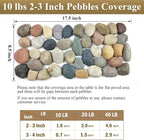 FANTIAN 40 lbs Garden Rocks Pebbles, 2-3 Inch Decorative Large River Rocks for Landscaping, Painting, Aquarium, Plants, Crafting, Walkways and Outdoor Decorative Stones