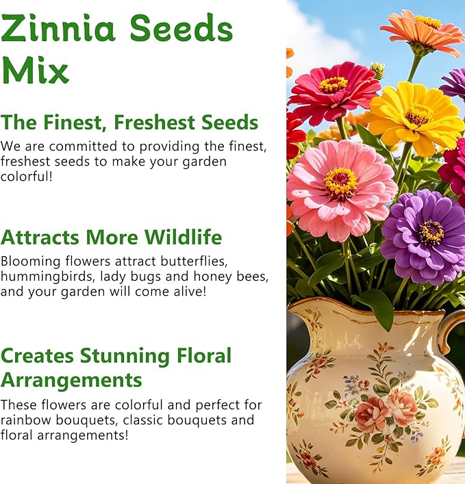 LUOJIBIE Zinnia Seeds for 2026, 10,000+ California Giant Zinnia Seeds Bulk, Double Dahlia Zinnia Mixed Color Seeds, Flower Seeds for Planting Outdoor Garden, Non-GMO Heirloom, Easy to Grow