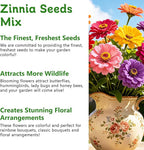 LUOJIBIE Zinnia Seeds for 2026, 10,000+ California Giant Zinnia Seeds Bulk, Double Dahlia Zinnia Mixed Color Seeds, Flower Seeds for Planting Outdoor Garden, Non-GMO Heirloom, Easy to Grow
