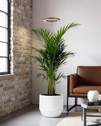 yadoker Plant Grow Light, LED Growing Light Full Spectrum for Indoor Plants,Aluminum Walnut Wood Grain Plant Lights,Height Adjustable, Automatic Timer, 5V Low Safe Voltage,Idea for Large Plant Light，