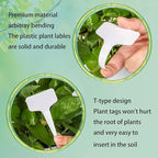 Plant Labels 200Pcs 4 InchT-Type Plant Name Tags Garden Seed Labels Markers Plastic Tag for Outdoor Waterproof Plant Label Stakes with Permanent Marking Pen