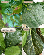 Artificial Fiddle Leaf Fig Tree 6FT - Large Fake Tree with White Planter&Basket, Tall Faux Ficus Lyrata Tree Floor Plants for Indoor Home Decor Office Living Room Housewarming Gift, 1Pack