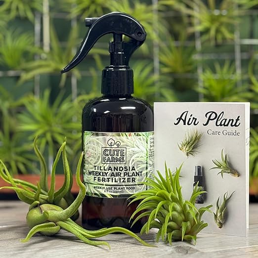 Cute Farms Tillandsia Air Plant Fertilizer | Gentle Weekly Use Formula Plant Food | Formulated Nutrients for Air Plants (Three - 8 oz. Spray Bottle)