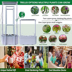 E SUPEREGROW Hydroponics Growing System kit with Trellis,Smart Hydroponic Gardening System with LED Grow Light, Indoor Hydroponic Garden Herb Grow Kit for Short Tomato,Pepper,Cucumber (6200LC)