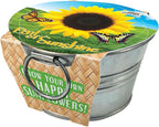 Unique Gardener Grow Your Own Mini Sunflowers Plant Seeds 3-Pack, DIY Indoor Succulents and Live Plants for Home or Garden Planting, Pail of Sunshine