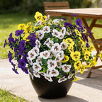17 Inch Artificial Faux Pansy Flowers for Outdoor,Fake Pansies Flowers with Eucalyptus Leaves Fake Plants Greenery Boxwood Porch Patio Decor 6 Bundles(Dark Purple, Yellow, White)