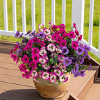 17 Inch Artificial Faux Pansy Flowers for Outdoor,Fake Pansies Flowers with Eucalyptus Leaves Fake Plants Greenery Boxwood Porch Patio Decor 6 Bundles(Light Purple,Rose White,Rose Red)
