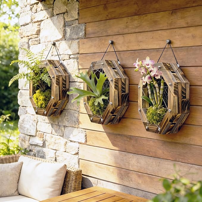 12.8 Inches Staghorn Fern Mounting Kit Orchid Mounting Wood Hanging Plant Frame Wall Planter Plant Holder Basket for Orchids Staghorn Fern Tropical Plants (325x325x60mm)