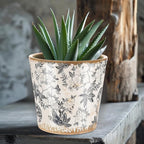 Beeveer Farmhouse Ceramic Planter 5.5 Inch Large Plants Pot Crack Beige Gray Flowers Plant Pots with Drainage Hole Indoor Plants Kitchen Rustic Antique Decor Gift