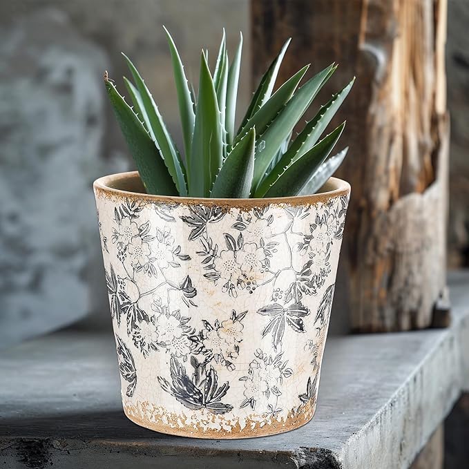 Beeveer Farmhouse Ceramic Planter 5.5 Inch Large Plants Pot Crack Beige Gray Flowers Plant Pots with Drainage Hole Indoor Plants Kitchen Rustic Antique Decor Gift