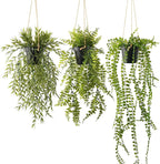 3 Packs Fake Hanging Plants with Black Pots, 28" Artificial Hanging Plants for Wall Decor, Fake Fern Plants Mandala Vine Indoor/Outdoor for Home Bathroom Bedroom Kitchen Office Room Decor