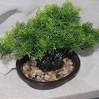 Artificial Bonsai Tree, Realistic Fake Cypress Plant in Pot with Decorative Rocks, 8-inch ndoor Decor, Home Office Desk, Bathroom Shelf, Bedroom, and Farmhouse Living Room