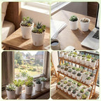 Ziliny 100 Pcs Self Watering Pots Self Watering Planters for Indoor Planters Plastic Garden Flower Pots with Level Indicator Vents for Herbs (3 Inch)