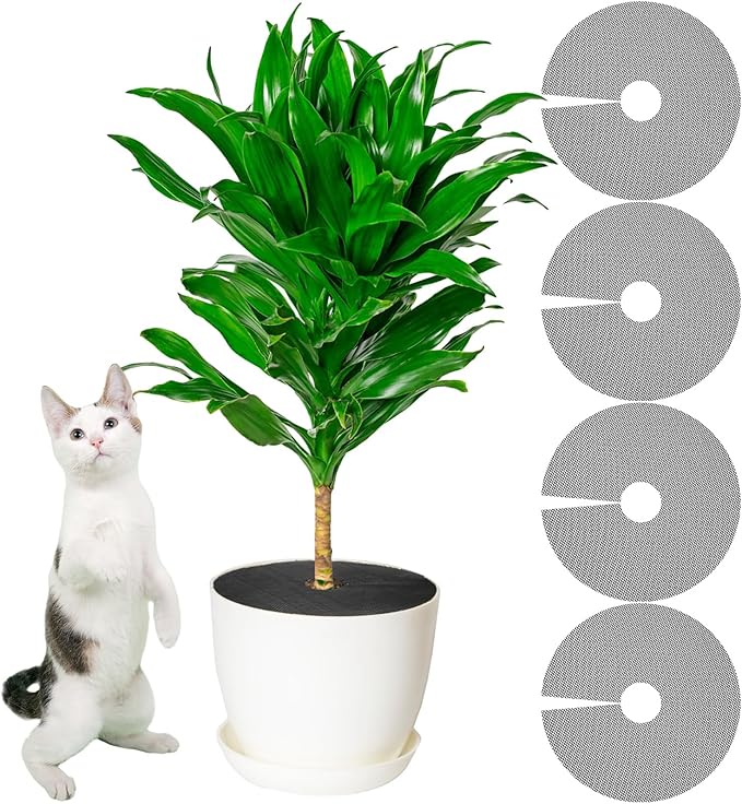Newtay 4 Pcs 12'' Plant Pot Grid Soil Protector Covers Thickened Flower Protectors from Animals Black Cuttable Flower Grid Cat Digging Stopper for Indoor Outdoor Garden