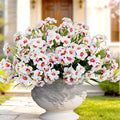 LikSoor Outdoors Artificial Flowers Spring Summer Decor Fake Petunias UV Resistant Flower Faux 12 Bundles Realistic Plastic Plant Porch Patio Window Box Garden Decoration (White)