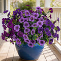 17 Inch Artificial Faux Pansy Flowers for Outdoor,Fake Pansies Flowers with Eucalyptus Leaves Fake Plants Greenery Boxwood Porch Patio Decor 6 Bundles(Dark Purple,Lotus Purple,Light Purple)