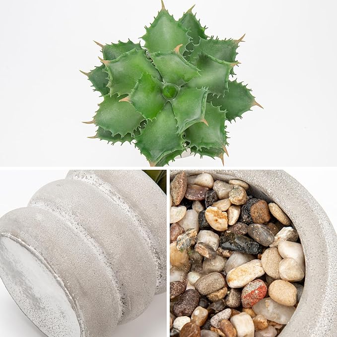 Hollyone Fake Plants Succulents Artificial Agave Succulent Plants Faux Aloe Potted Plant in White Glaze Ceramic Pot for Desk Modern Office Living Room Table Shelf Bathroom Home Indoor Outdoor Decor