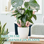 8pcs Plant Stem Support, Plant Support for Indoor Plants, Plastic Reusable Plant Stabilizer, Indoor Plants Accessories