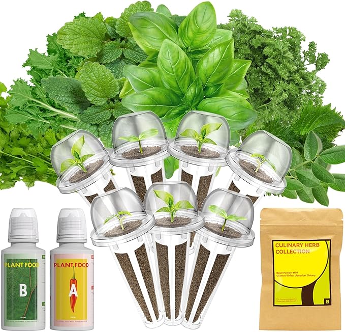 LYKOCLEAN 7 Pods Herb Seed Pod Kit Compatible with AeroGarden, iDoo, Ahopegarden, GARDENCUBE Hydroponics Growing System, 350+ Seeds with Basil, Parsley, Mint, Cilantro