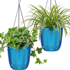 QCQHDU Self Watering Hanging Pots, 2 Pack 5.7 Inch Hanging Planters for Plants Indoor, Flower Pots with Drainage Holes and 3 Hooks Chains for Garden Home (Klein Blue)