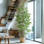 Bailikang Artificial Ficus Tree Indoor 7ft, Large Potted Faux Tree with Realistic Silk Leaves & Trunk for Home Office, Living Room Corner Decor
