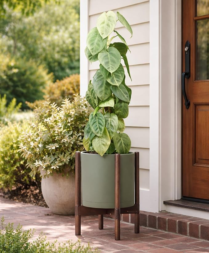 D'vine Dev Planter Pot with Stand - 10 Inch Plastic Cylinder Flower Pot with Wood Planter Holder for Indoor, Olive Pot + Walnut Color Stand, 55-C-L-3