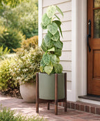 D'vine Dev Planter Pot with Stand - 10 Inch Plastic Cylinder Flower Pot with Wood Planter Holder for Indoor, Olive Pot + Walnut Color Stand, 55-C-L-3