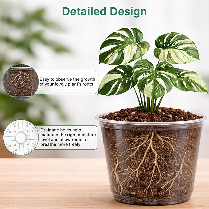 Bluepro 16 Pack 10/8/6/5 Inch Reinforced Large Clear Nursery Pots with Drainage Holes, Transparent Variety Pack Plastic Plant Pot for Vegetable Propagation, Root Cutting, Seed Starting