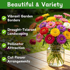 LUOJIBIE Zinnia Seeds for 2026, 10,000+ California Giant Zinnia Seeds Bulk, Double Dahlia Zinnia Mixed Color Seeds, Flower Seeds for Planting Outdoor Garden, Non-GMO Heirloom, Easy to Grow