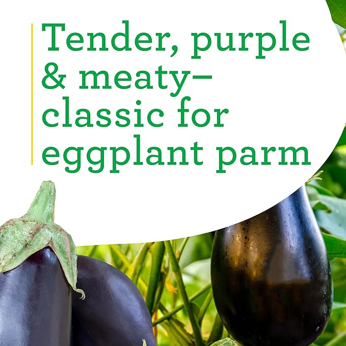 Bonnie Plants Black Beauty Eggplant, Live Plant, 1 Gal., 2-Pack