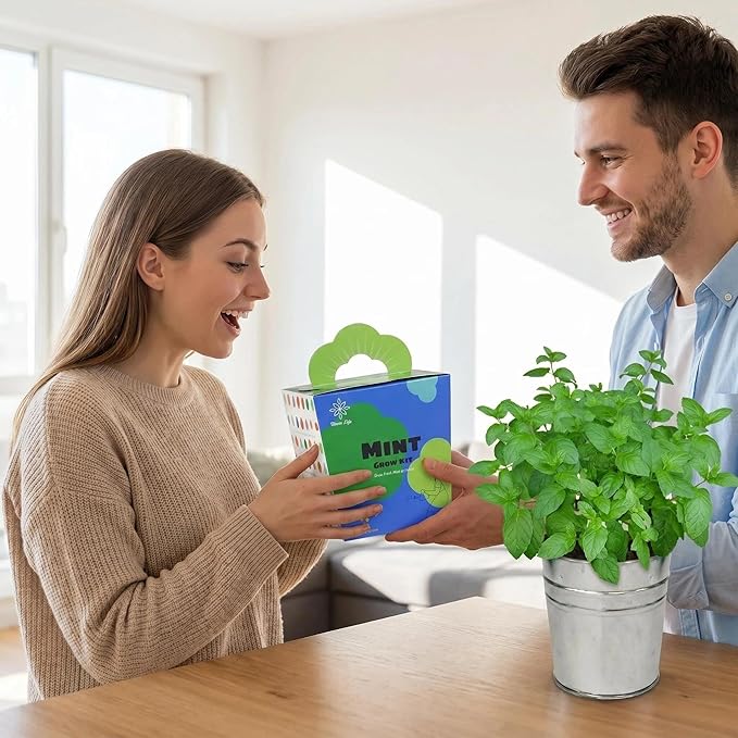 Mint Grow Kit, All-in-One Indoor Herb Garden Kit with Planter, Soil & Seeds, Easy DIY Planting Kit for Kitchen, Grow Your Own Fresh Mint for Tea & Drinks, Beginner Friendly Gardening Gift