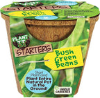 Unique Gardener Plant-It Starters Plant Seeds 4-Pack, DIY Indoor Succulents and Live Plants for Home or Garden Planting, Green Bush Beans