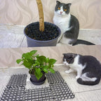 Agatige 12PCS Cat Deterrent Mat, 6 X 8 in PP Scat Mat Cat Spikes Blocker for Keeping Away Pet Dogs Protecting Plants