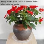 LWALRS Plant Saucer Tray 6 inch, 6 Pack Plastic Plant Saucers for Indoors Outdoor, Heavy Duty Drainage Drip Water Trays for Planter Pots Flower, Saucers for Potted Plants (6", Clear)