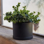 Bloem Mathers 6" Black Round Modern Resin Garden Planter Pot with Drainage Holes and Removable Saucer Tray Included
