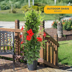 Costa Farms Live Plant Mandevilla Teepee in 12-Inch Grower Pot – Live Tropical Flowering Vine with Trellis | Large Trumpet Blooms in Red Flowers | Heat-Tolerant Climbing Plant for Patio or Garden