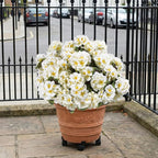 lovemoon 8 Pcs Artificial Geraniums for Outdoors Realistic Silk White Flowers UV Resistant Faux Geranium Flowers for Outdoor Front Door Porch Home Garden Office Decoration (8, White)