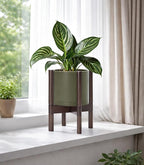 D'vine Dev Planter Pot with Stand - 8 Inch Plastic Cylinder Flower Pot with Wood Planter Holder for Indoor, Olive Pot + Walnut Color Stand, 55-C-I-3