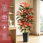 Artificial Red Dracaena Tree - 6FT Tall Fake Plants with Black Square Planter - Artificial Plants Indoor Floor Plant in Pot - Large Tropical Fake Yucca Potted Tree for Home Office Living Room Decor