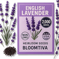 Premium English Lavender Seeds – 2,000 Non-GMO, USA-Grown Herb Seeds for Indoor & Outdoor Planting – High Germination Wildflower (Lavandula angustifolia)
