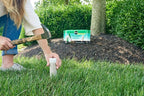 Miracle-Gro Tree & Shrub Plant Food Spikes, 12 Spikes (2-Pack)