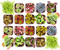 Shop Succulents Endless Summer Succulent Pack Collection - Live Mini Succulent Plants, Low Maintenance, Colors & Textures - Wedding and Party Favors, Gift & Garden, Pack of 256